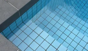 Bluestone pool coping tiles.